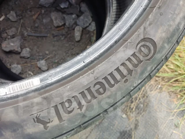 Continental ExtremeContact DWS06. ������, 2019 ���, �/�, ����� 10 % ����