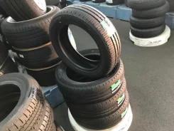 Dunlop Enasave EC205