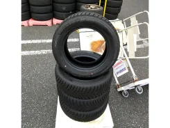 Dunlop Synchro Weather