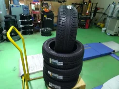 Pirelli Cinturato All Season Plus