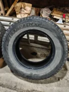 Toyo Winter Tranpath S1. ������, ��� �����, 2010 ���, �/�, ����� 30 % ����