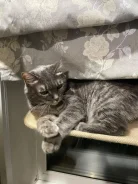 �����. ����