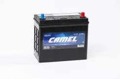 Camel