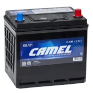 Camel