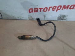 ������-���� 11787506539 ����