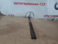 ����������� ��������� 51249801386 ����