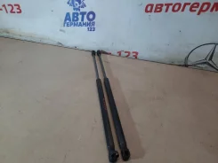 ����������� ��������� 51249801386 ����