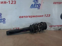 ������, ����� �������� 31316851337 ����