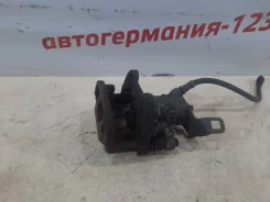 �������, ������ ������ 34219804732 ����
