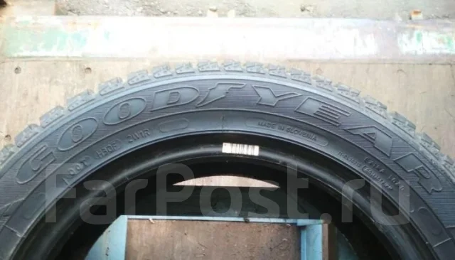 Goodyear Eagle Vector