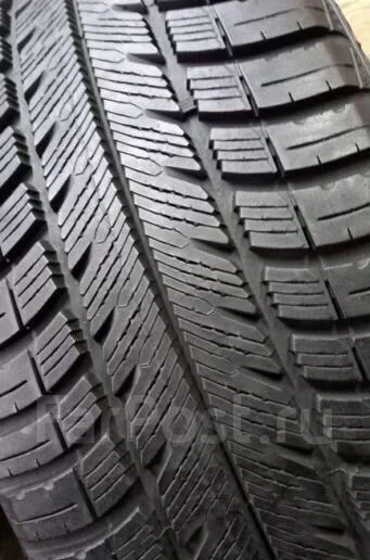 Goodyear Eagle Vector