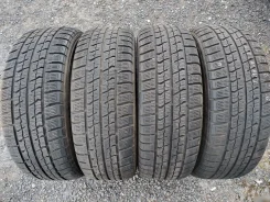 Goodyear Ice Navi Zea II