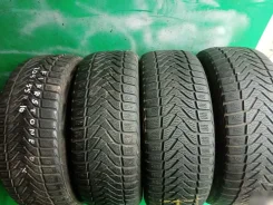 Firestone Winterhawk