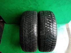 Dunlop SP Winter Sport M2