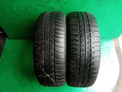 Goodyear Eagle Vector