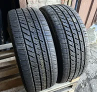 Bridgestone DriveGuard