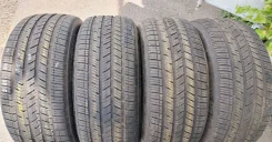 Bridgestone DriveGuard