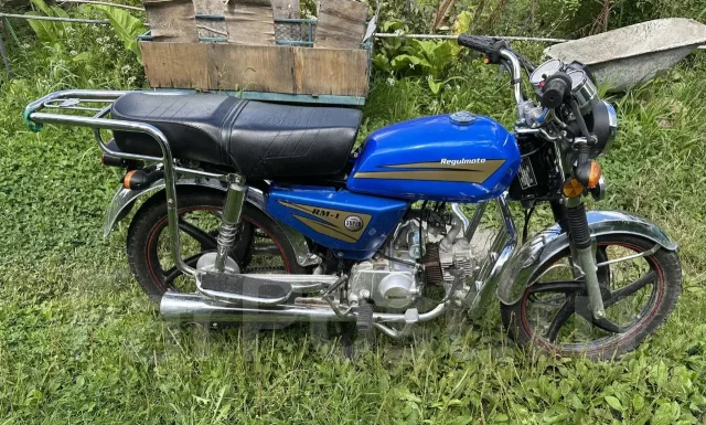 Regulmoto Alpha RM-1. 49����. ��., ��������, ���������, ������ �� �� ����