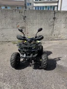 Boss BS110. ��������, ��� ���\���, �� ����