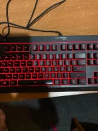 ����������. ����