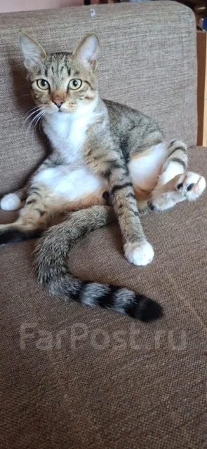 �����. ����