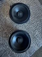 DLS ����
