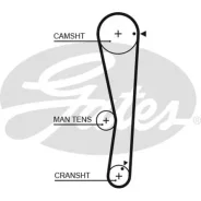 ������ ��� Gates, ���. 5687XS 5687XS ����