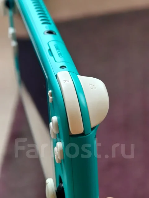 Nintendo Switch Lite ����