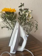 �����. ����
