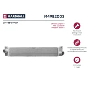 ����������� Marshall, ���. M4982003 M4982003 ����
