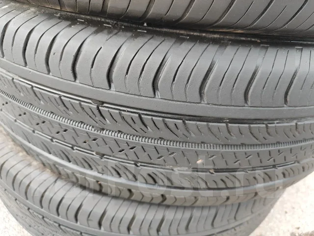 Continental ProContact TX. ������, 2022 ���, �/�, ����� 60 % ����