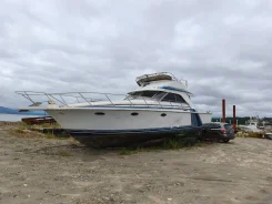 Bertram. 1995 ���, ����� 14��. ����