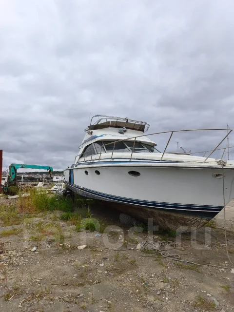 Bertram. 1995 ���, ����� 14��. ����