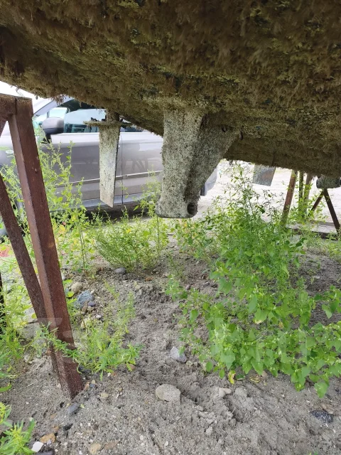 Bertram. 1995 ���, ����� 14��. ����
