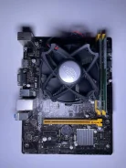 AMD ����