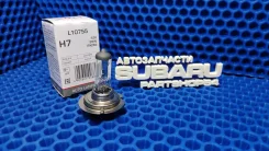 ����� H7 LYNX L10755 L10755 ����