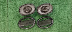 Pioneer ����