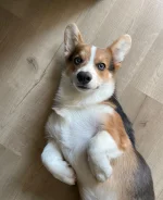 ����� ����� � ������������� ���� ����