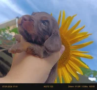 �����. ����