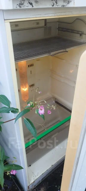 ������������. ����
