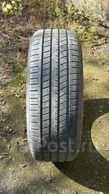 Falken Pro G5 A/S. ������, 2022 ���, �/�, ����� 20 % ����