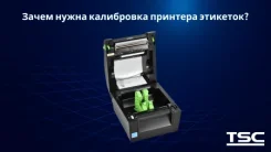 ������� ���������� ������ ����