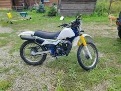 Suzuki. 49����. ��., ��������, ���������, ������ �� �� ����