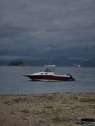 Bayliner. ����� 8,15��., ��������� ���������, 280��.�., ������ ����