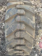 Bobcat. �����������, ����� ����