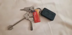 ������� ����� ����