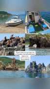 �����. ������� �����. ���� ����� ����