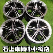 Kyoho Steiner LST