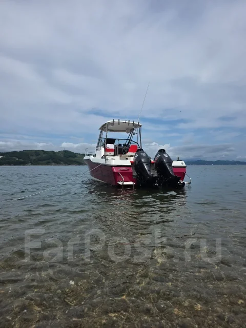 Bayliner. ����� 8,15��., ��������� ���������, 280��.�., ������ ����
