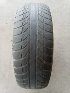 GT Radial Champiro WinterPro. ������, ��� �����, �/�, ����� 70 % ����